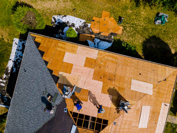 Best Local Roofing Companies  in Bressler, PA