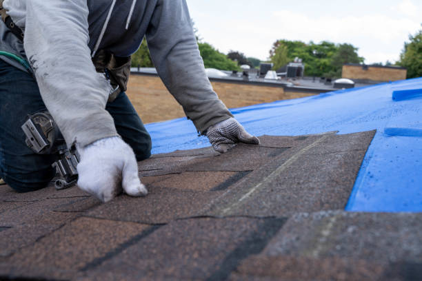 Best Roof Inspection Near Me  in Bressler, PA