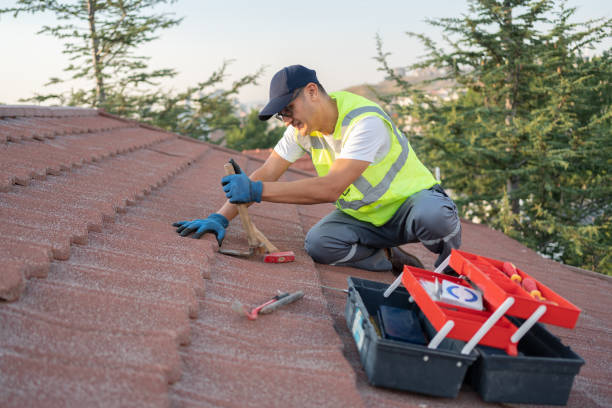 Roof Gutter Cleaning in Bressler, PA